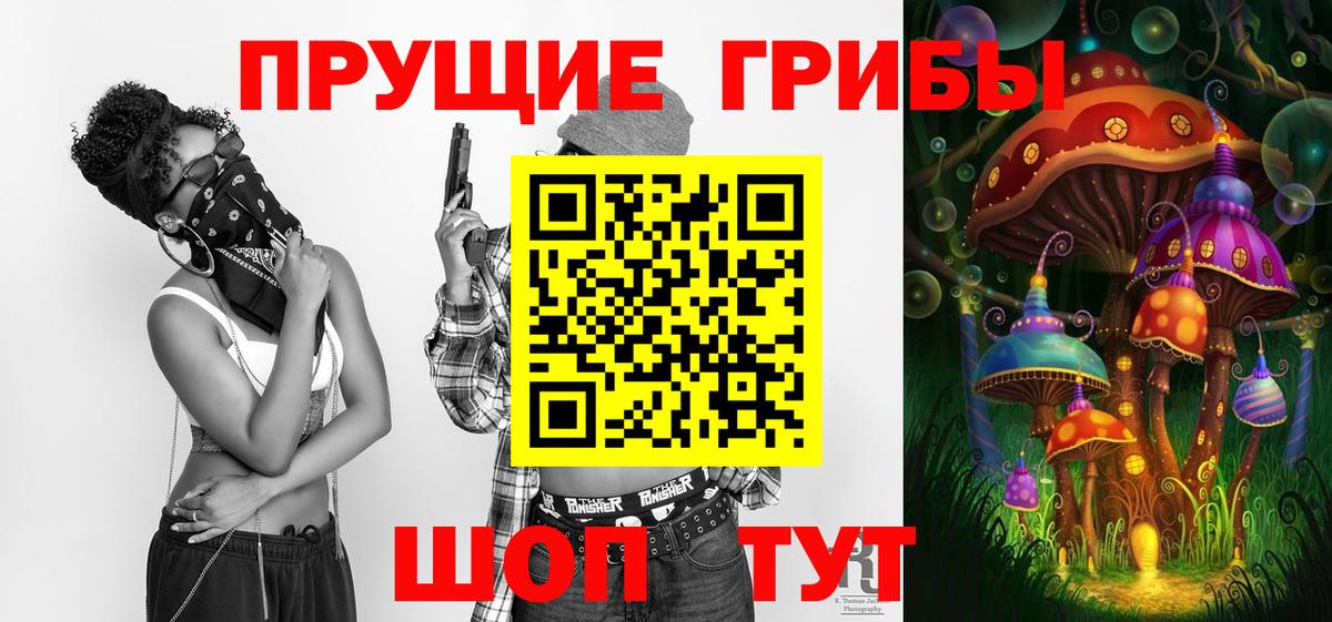 продажа наркотиков  Вход с VPN  Псилоцибиновые грибы прущие грибы  Баксан  Псилоцибиновые грибы ЛСД 